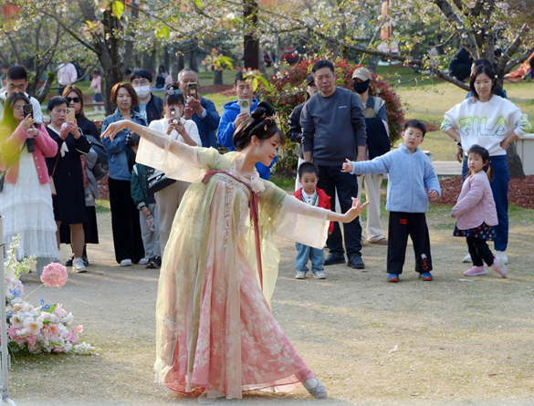 清明假期期間，上海顧村公園櫻花島上，游客在觀賞國風(fēng)漢服快閃表演。（圖片來源：視覺中國）