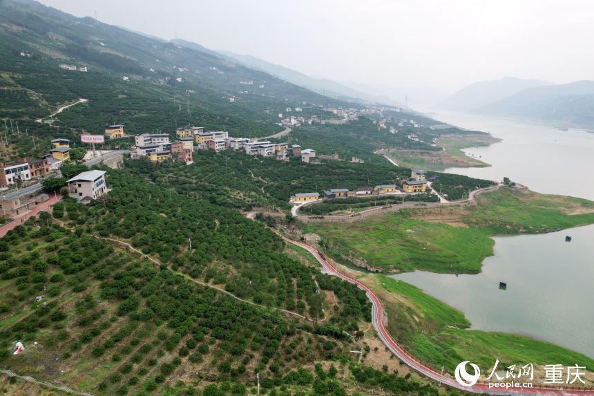 豐都縣安坪鎮(zhèn)三沱村。人民網(wǎng)記者 劉政寧攝