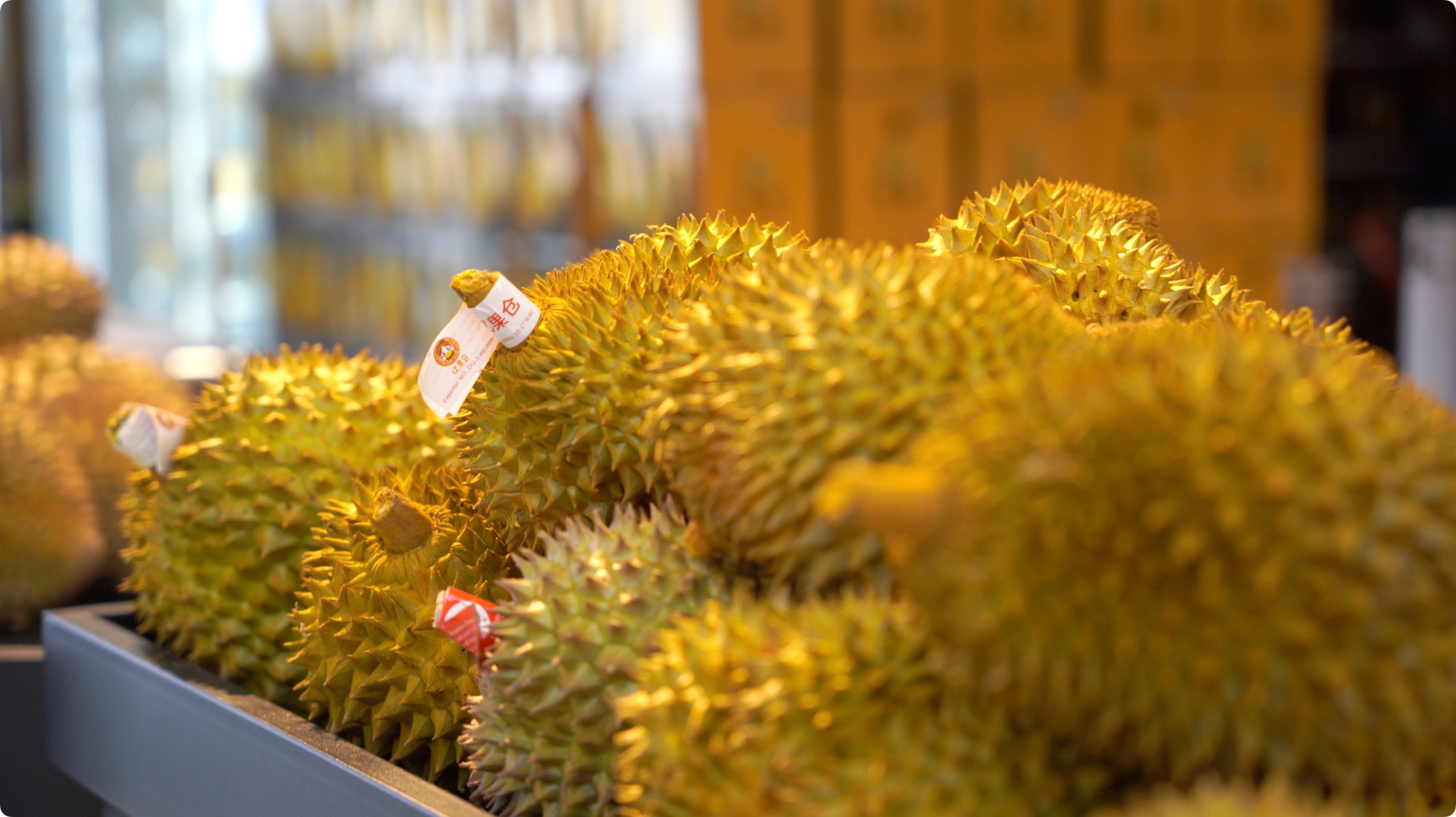 5月初，人民網(wǎng)記者申佳平攝