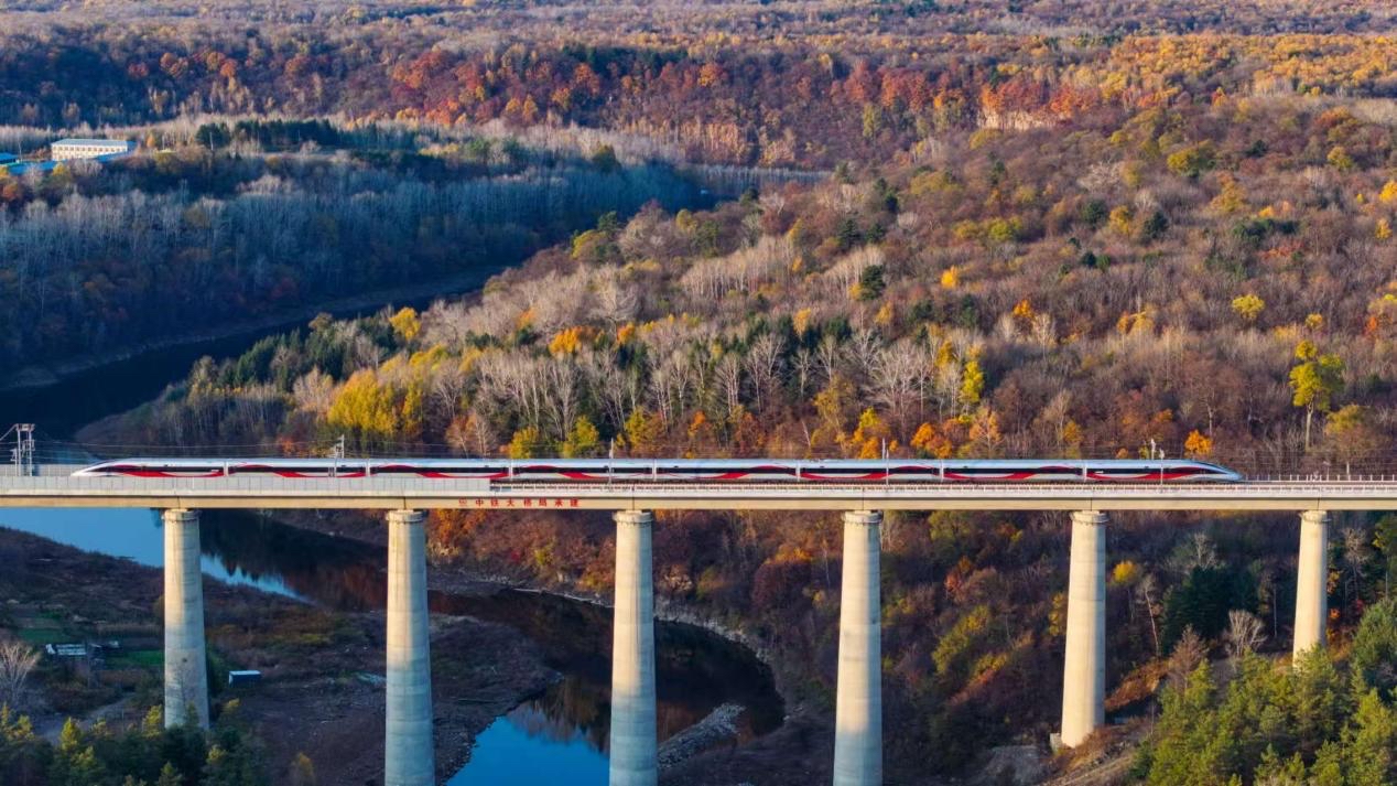 沈白高鐵正式開通運(yùn)營(yíng)。受訪方供圖